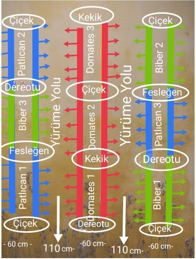 Hobi Bahçemi Nasıl Planlamalıyım?