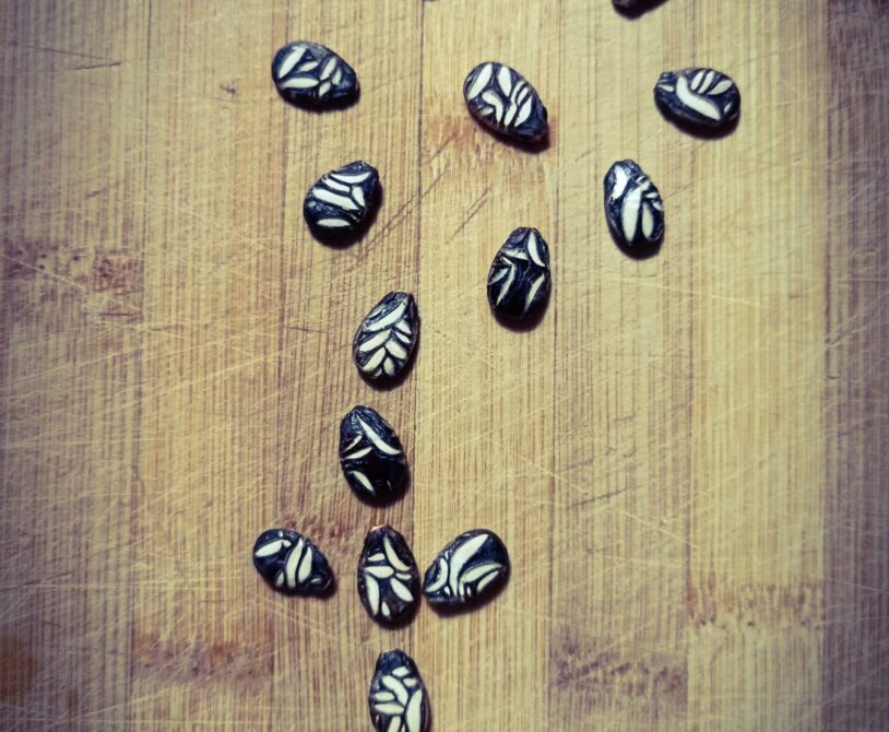 Çekirdeği oyalı karpuz