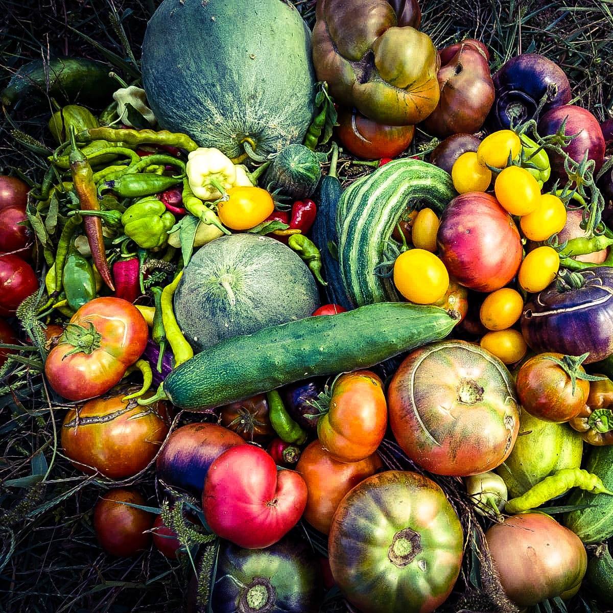 hakkımızda fotoğraf