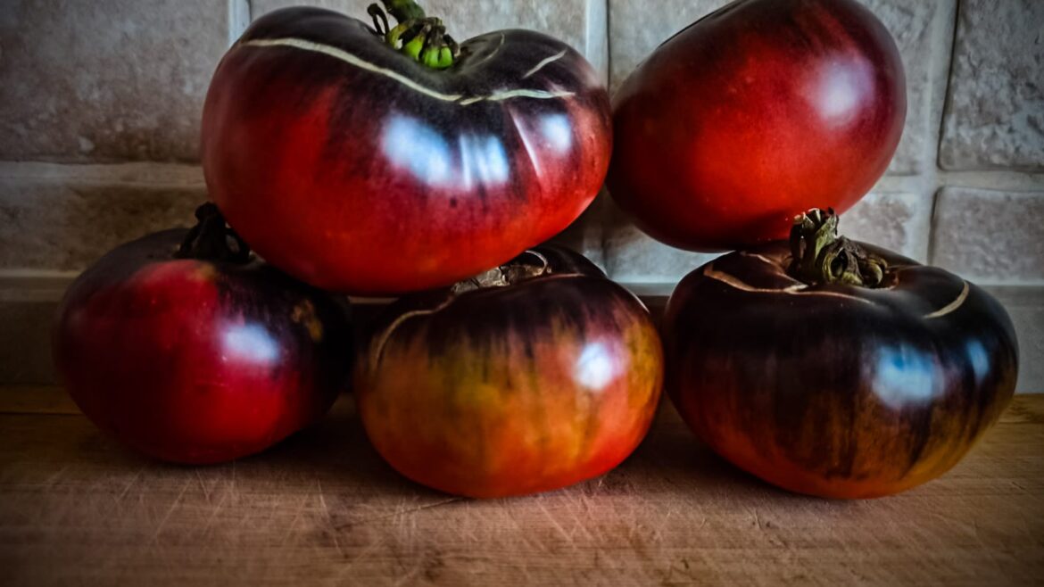 Mavi güzellik domates